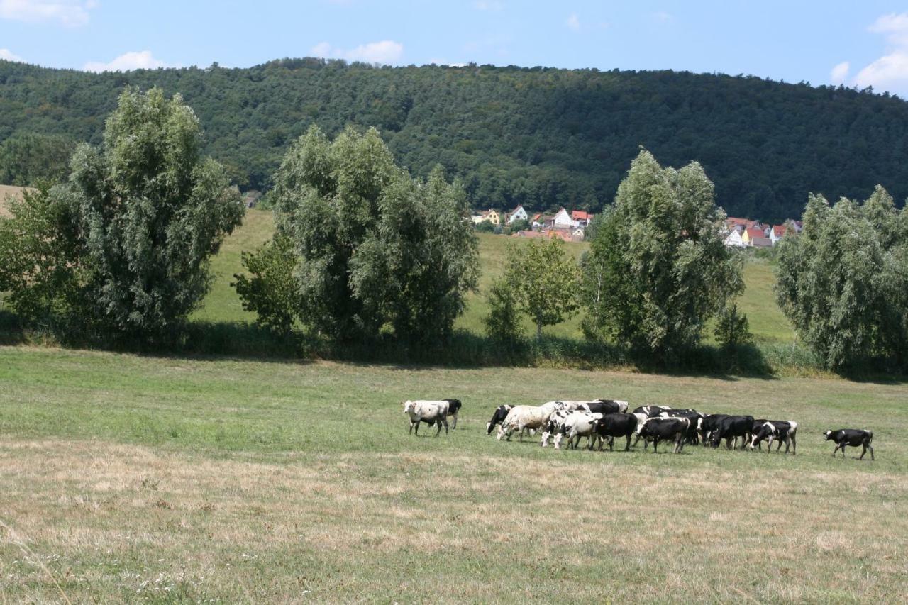 La ferme de Georges Apt 1 à 6 pers Bischholtz Exterior foto