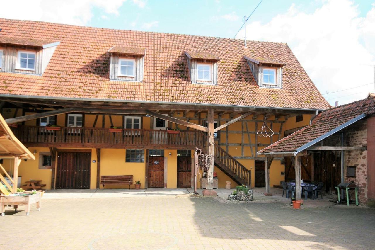 La ferme de Georges Apt 1 à 6 pers Bischholtz Exterior foto